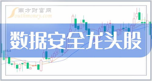 數(shù)據(jù)安全四大龍頭股 網(wǎng)絡(luò)與信息安全軟件開發(fā)企業(yè)盤點