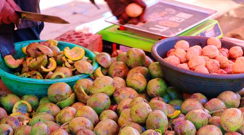 秋日水果季 來臨洮實現水果與蔬菜自由